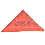 Coral Paisley Pocket Square Pure Silk - Buy Bold Warmth | Jaipurio