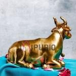 Antique Golden Nandi Brass Idol | Traditional 14 × 6.4 × 15.2 cm Sacred Bull | Handcrafted Shiva Vahana Murti | Temple Art | Jaipurio