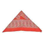 Red Paisley Pocket Square Pure Silk - Buy Bold Authority | Jaipurio